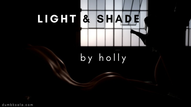 3D  DumbKoala - Holly - Light and Shade