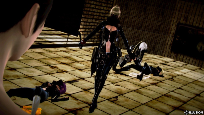 3D  [Illusion] Female Force Fight