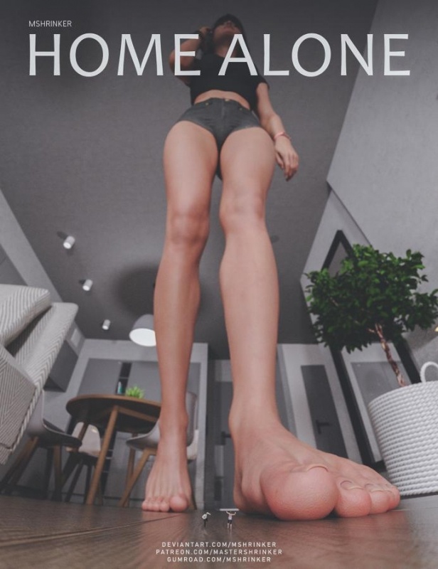3D  Home Alone By MasterShrinker