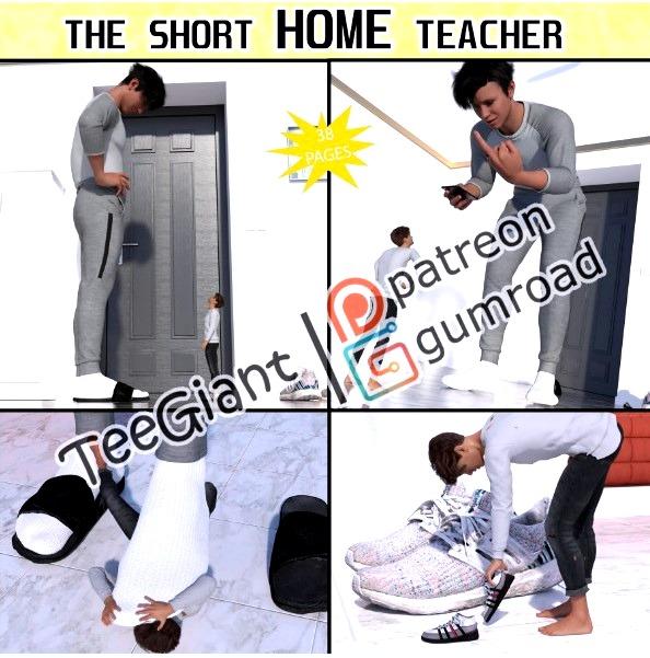 3D  TeeGiant - The Short HOME Teacher