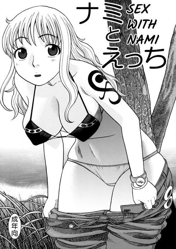Hentai  [Studio Wallaby (Niiruma Kenji)] Nami to Ecchi | Sex with Nami (One Piece) [English]