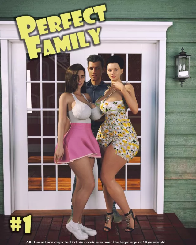 3D  DirDr - Perfect family
