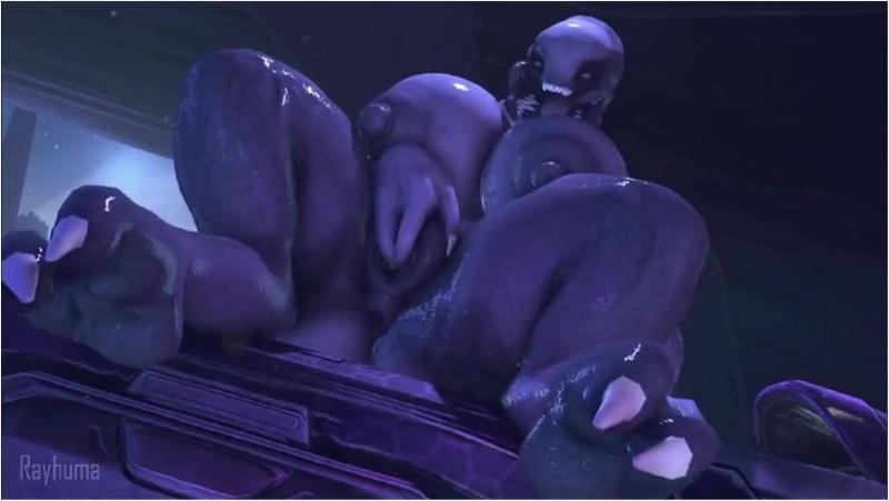 sangheili fingering herslef