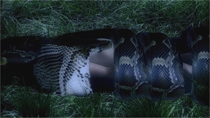 Snake swallows woman headfirst