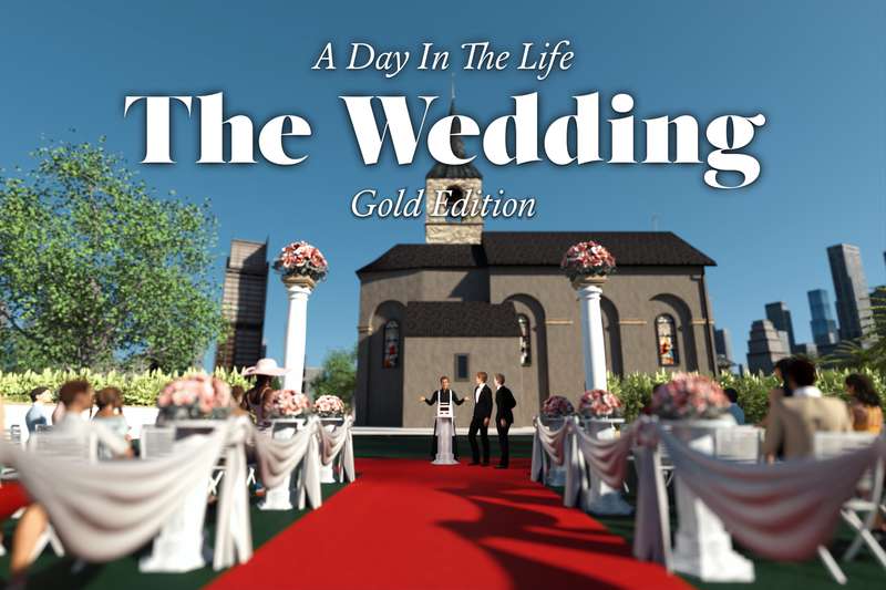 A Day in the Life: The Wedding