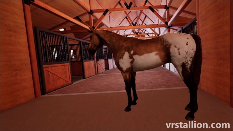 Mare Fisting | VR Stallion Gameplay