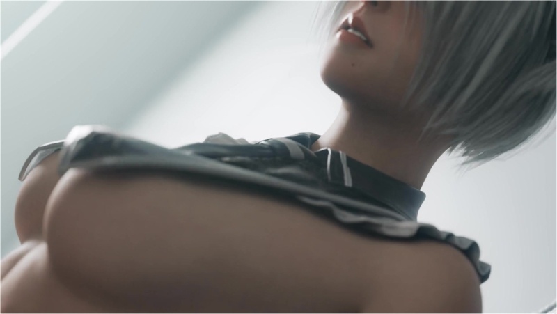 NieR Climax: Thighjob