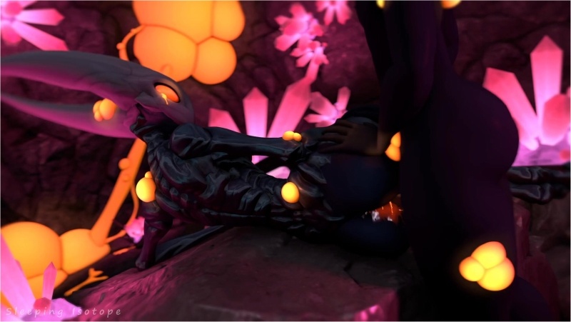 [Hollow Knight] Hornet's Infection