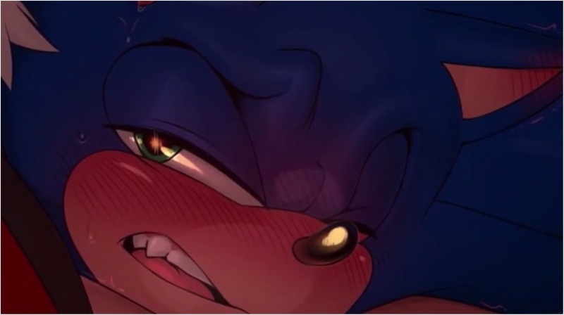 Shadow teasing Sonic (sound)