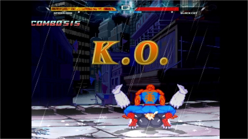 Spider and Black Cat Fight in New York