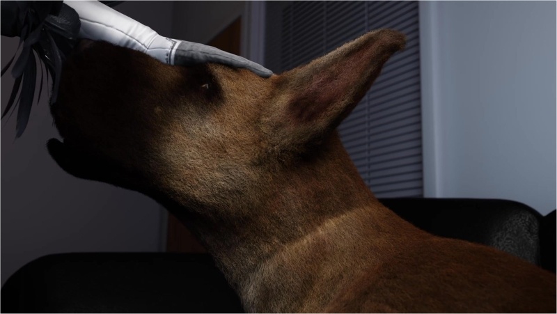 Sexpedition 34 Episode 0