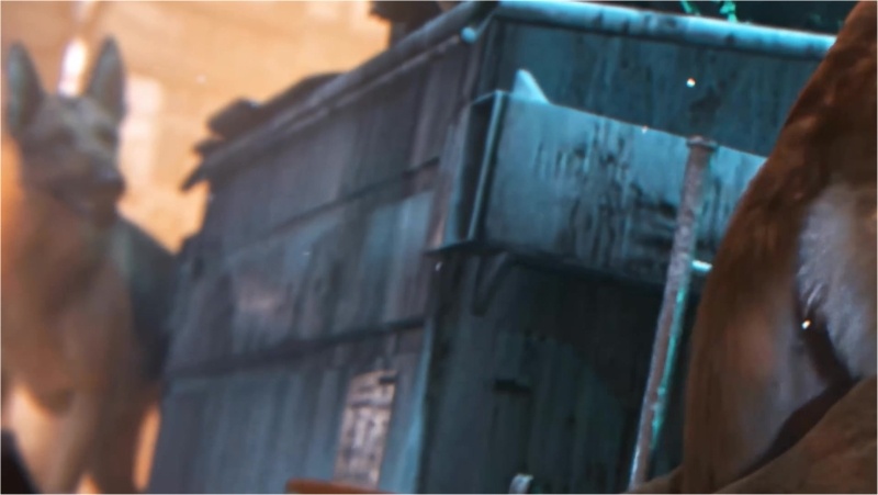 Sere x Dingo vid available