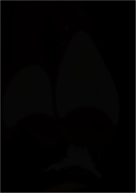 Agent bunny ( NIKKE )