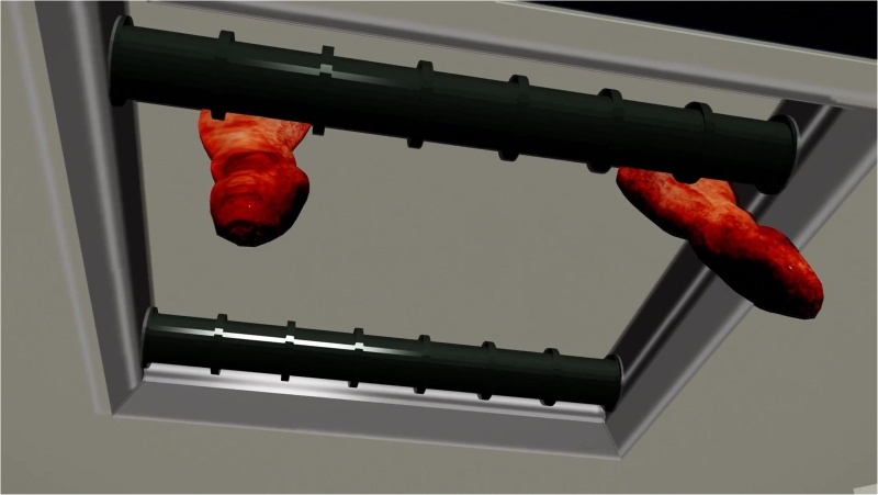 Tifa Lockhart is tied up and impregnated by flies and creatures