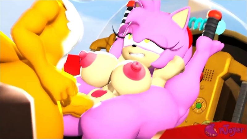 Tails and Amy In Air Flyer