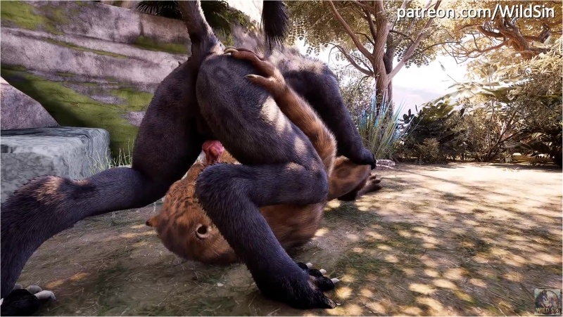 Lords of The Jungle Furry GAY