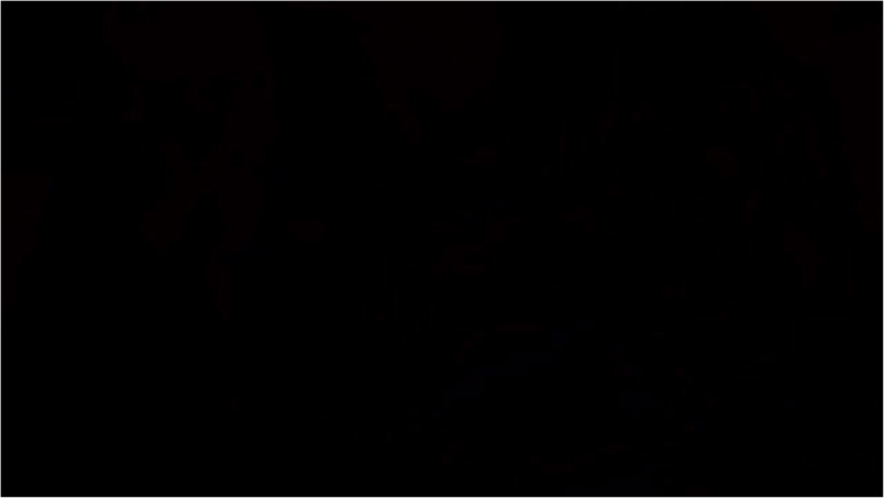 [FGO] Triple Fox Service