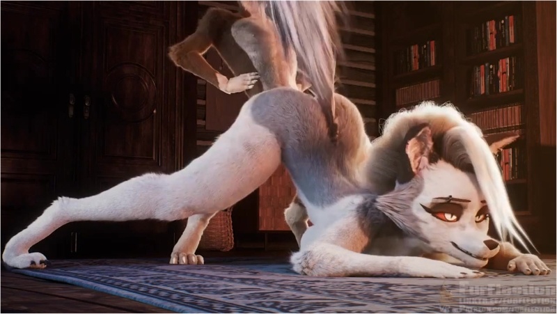 『Furflection』Loona doggy