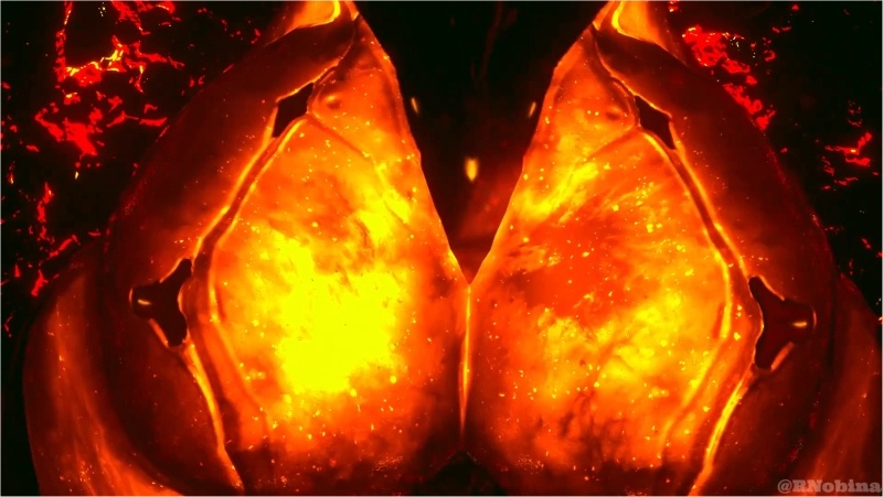 Ember satisfying herself