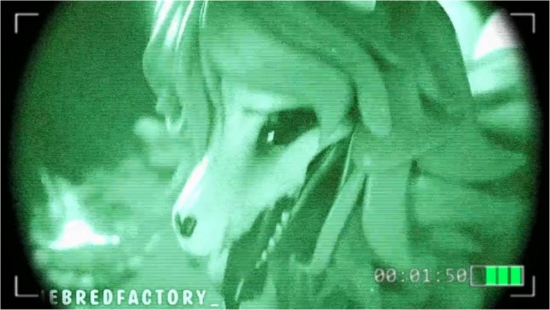 Mal0 (Take it Off) PMV - Mk. II