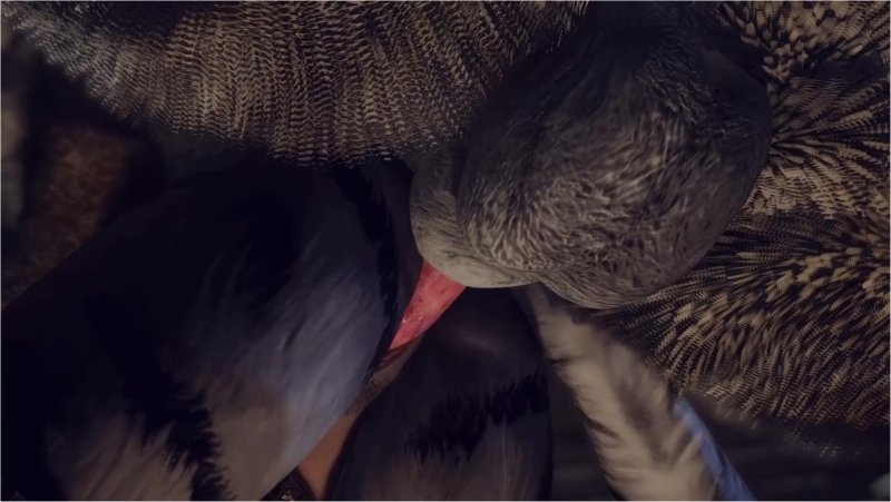 Kisava - The Cabin Preview