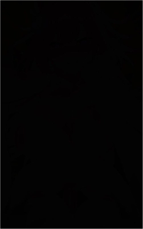 [ENarane x NDGD] Futa Stelle & Cyrene