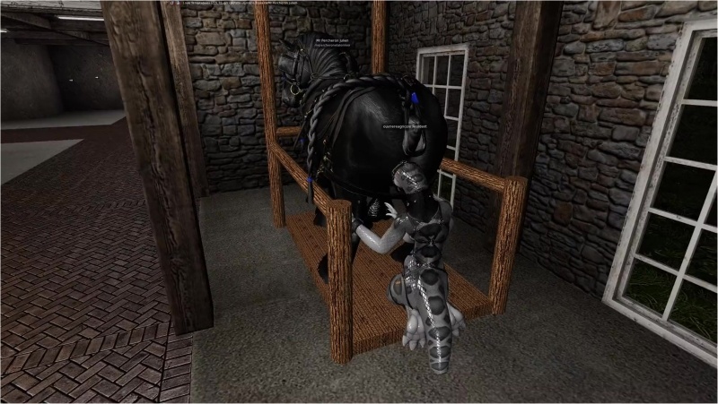 A Percheron stallion is being tortured. His testicles are being tortured by a furry f