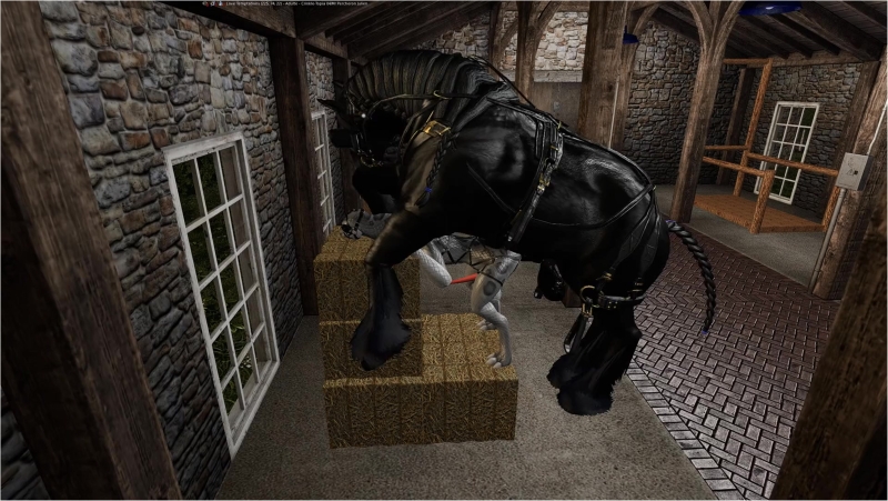 Percheron Stallion But His Penis in the Snake's Anus