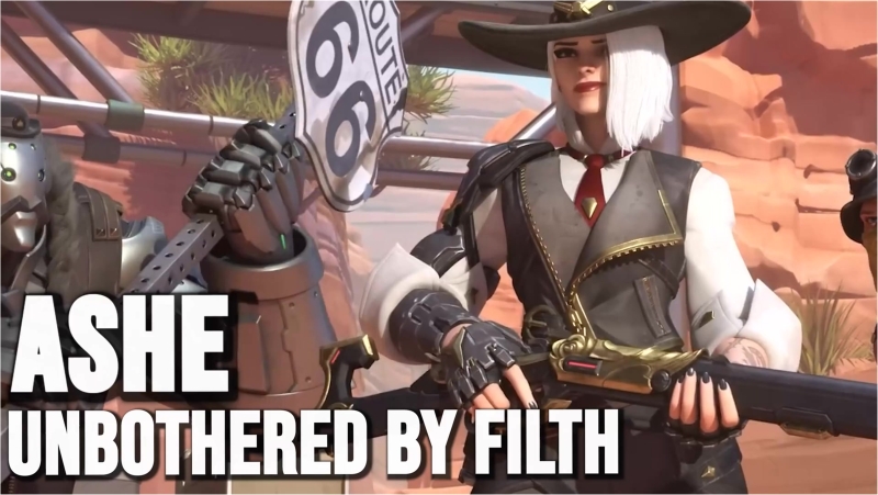 ASHE V BRIGITTE | ANAL WIS『PMV』