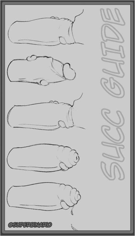 Succ Guide