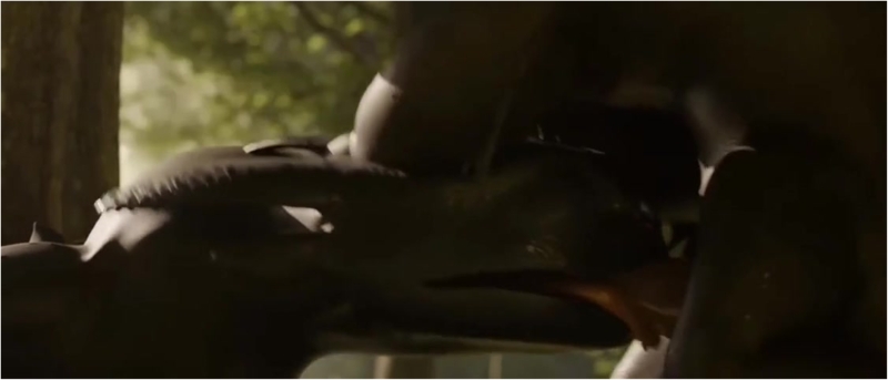 Toothless BJ