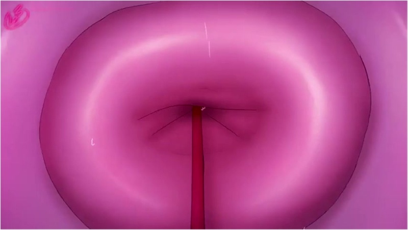 Anal vore by lazy sunshine