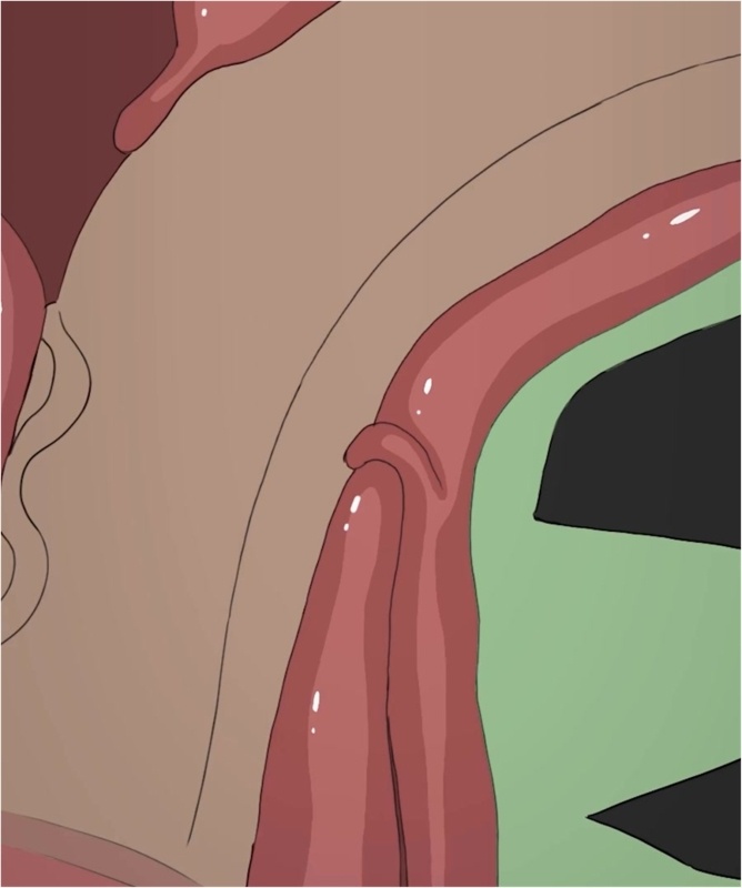 [Dengon] Sword Swallowing