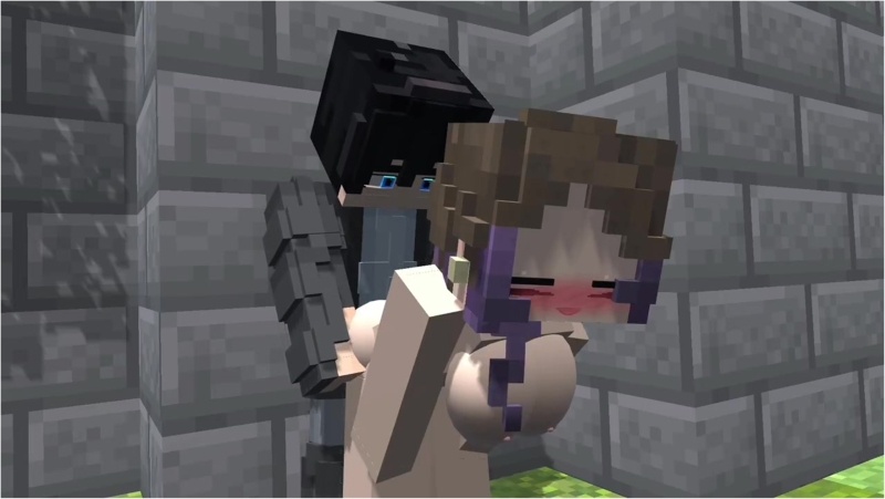 Liu sex minecraft animation